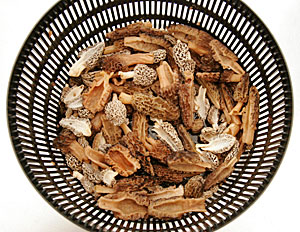Drier filled with misc. morels