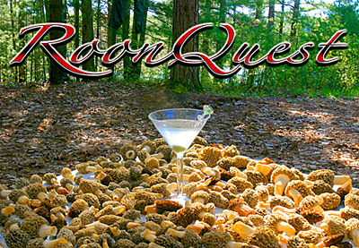 RoonQuest morel hunt in Michigan